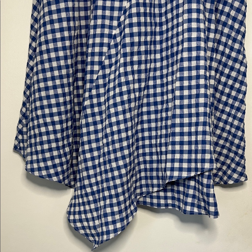 Anthropologie Maeve Blue and White Glenna Gingham Midi Skirt Size 2 NWT - Picture 3 of 16